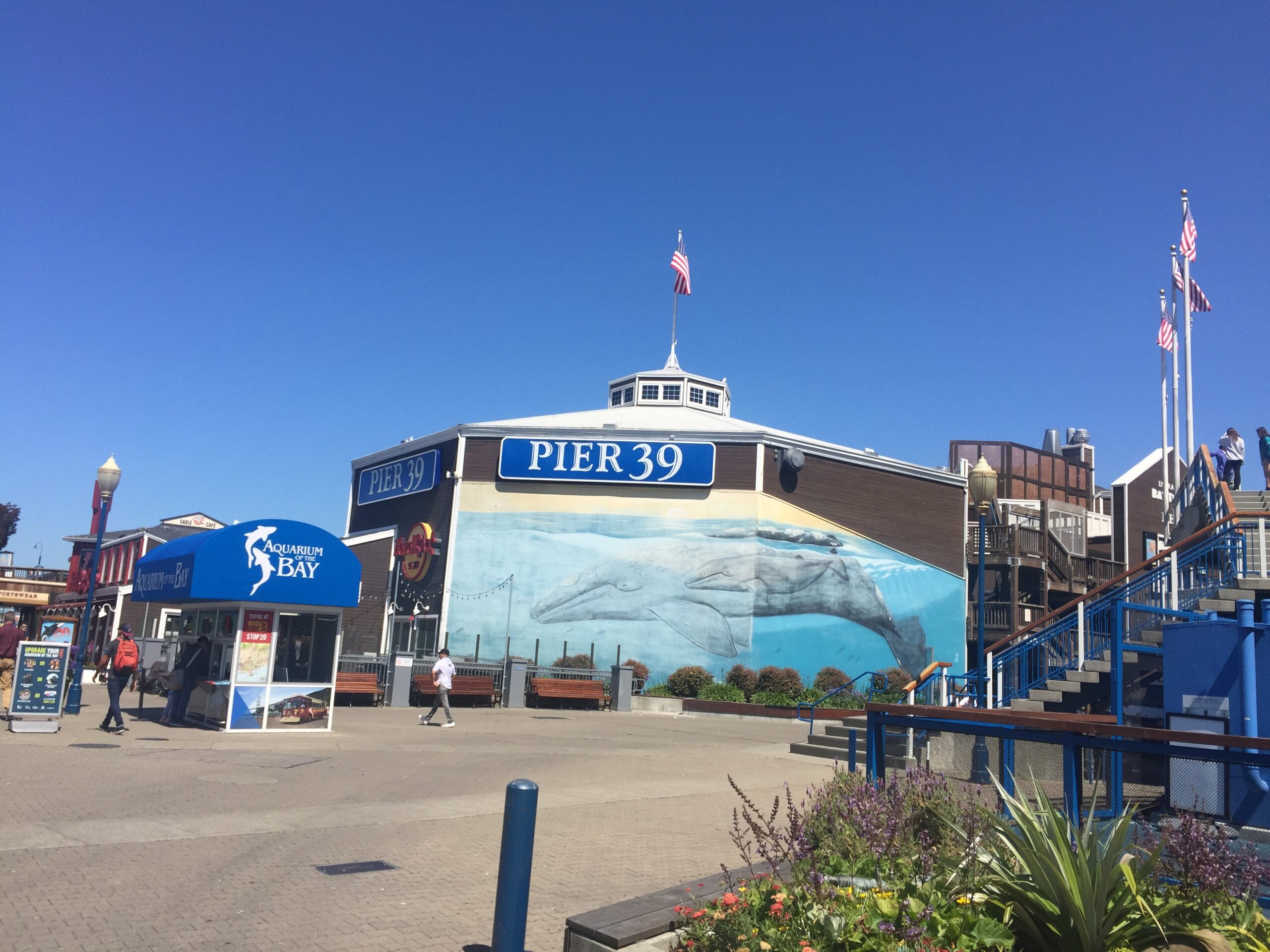 alt="pier 39"