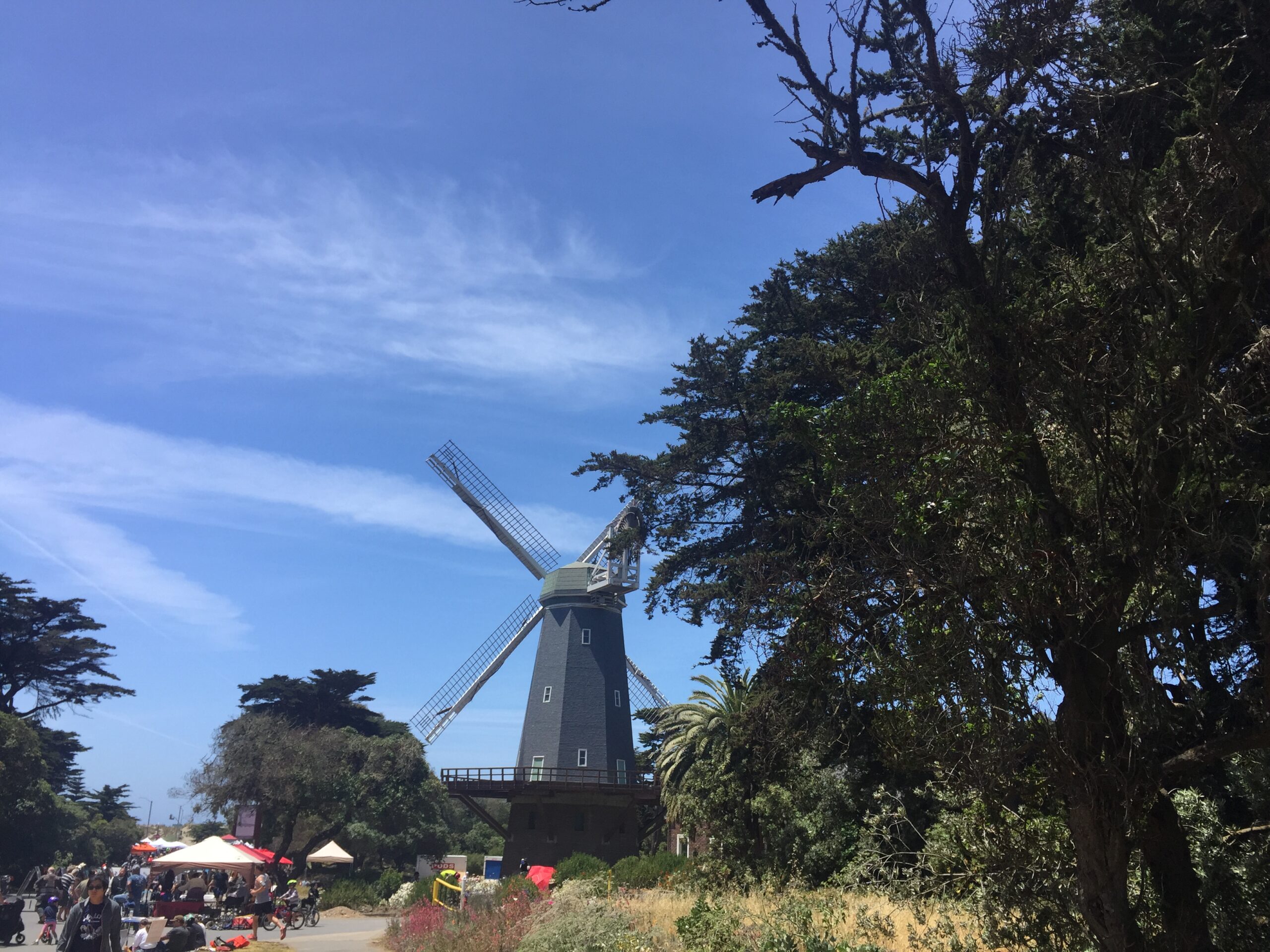 alt="windmill with trees"