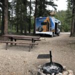 alt="campsite amongst the trees"