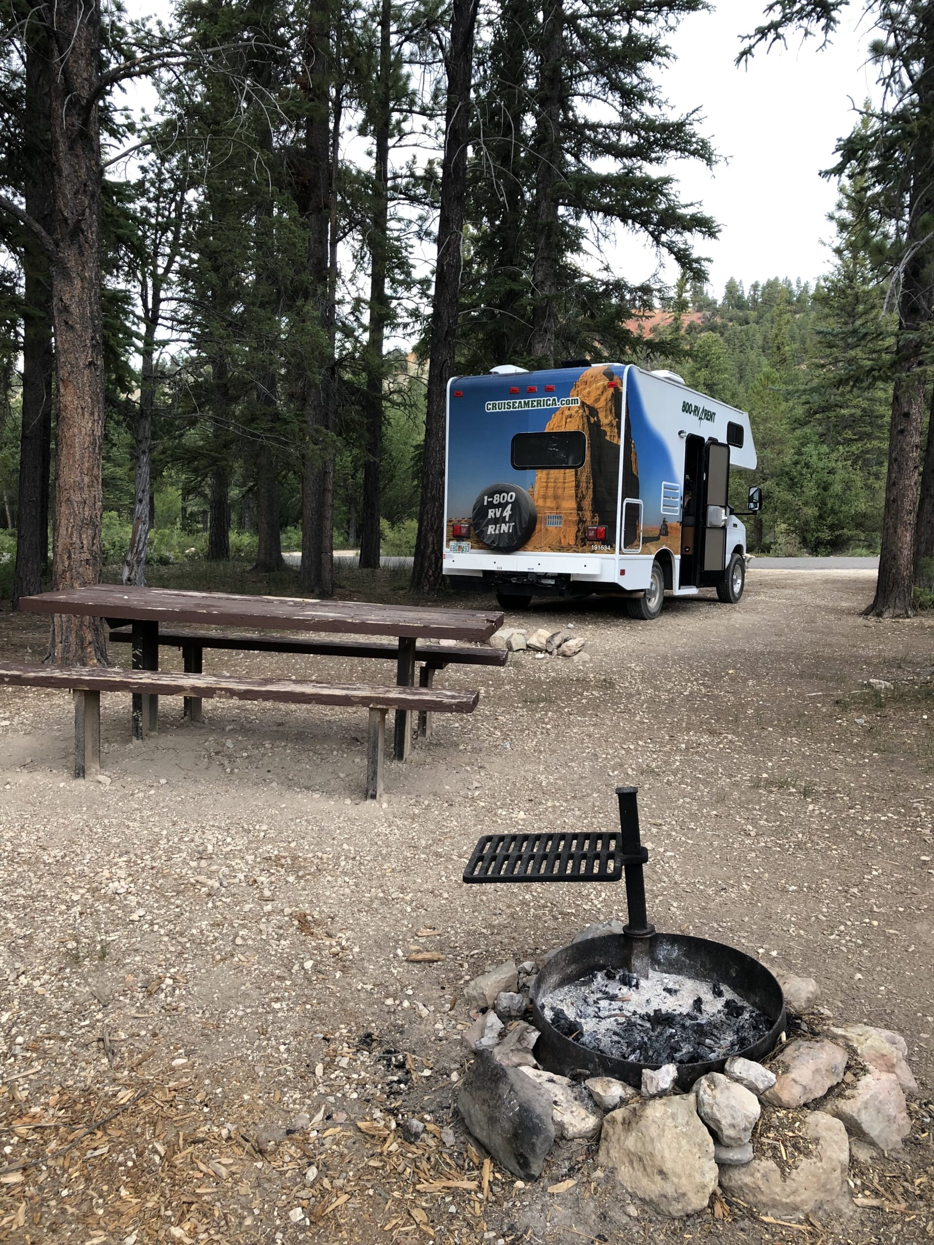 alt="campsite amongst the trees"