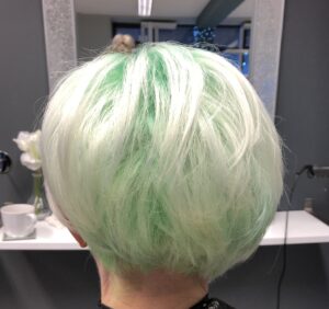 alt="rear view of head with new hairstyle"