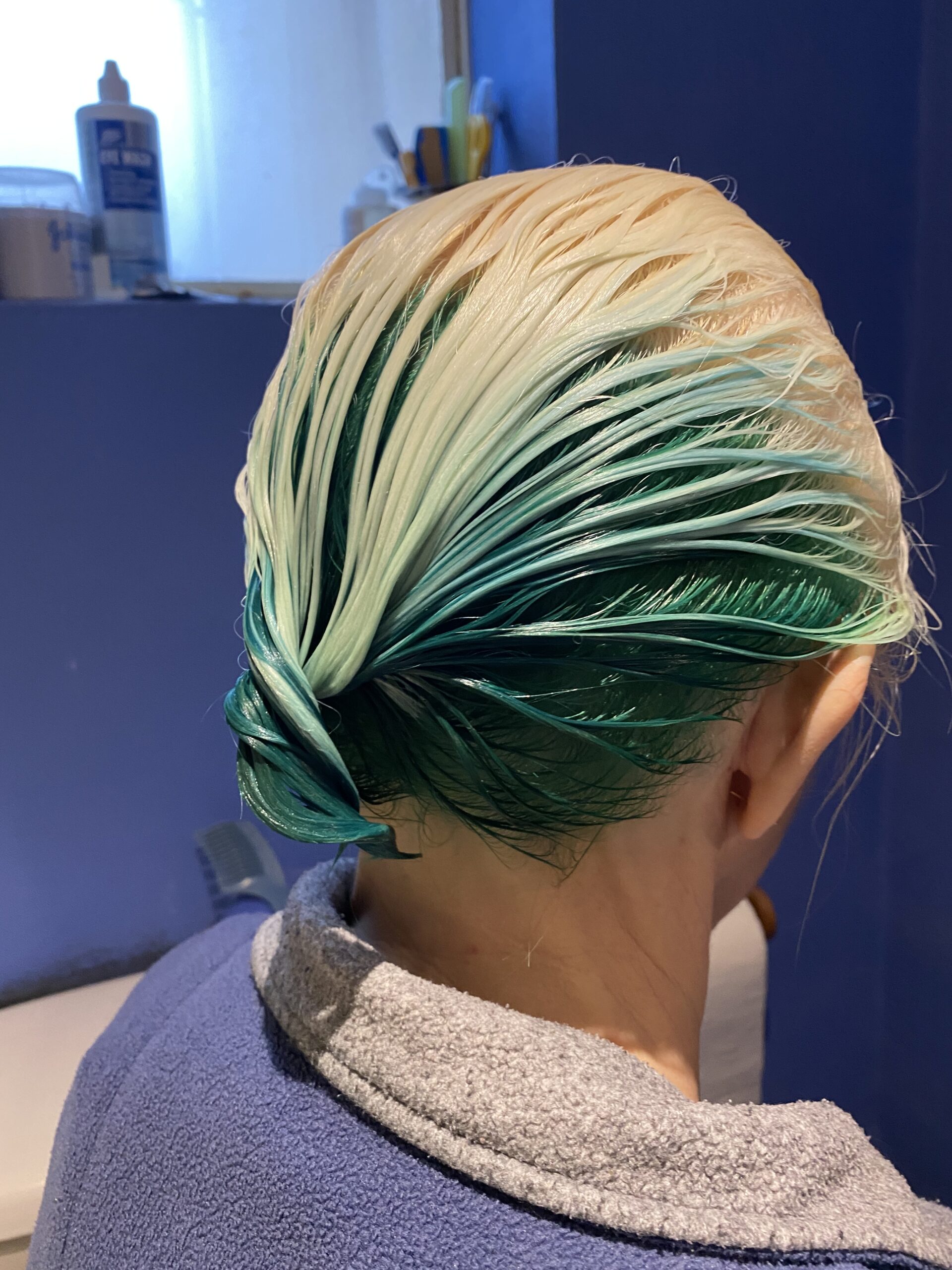 alt="rear view of head with combed hair"