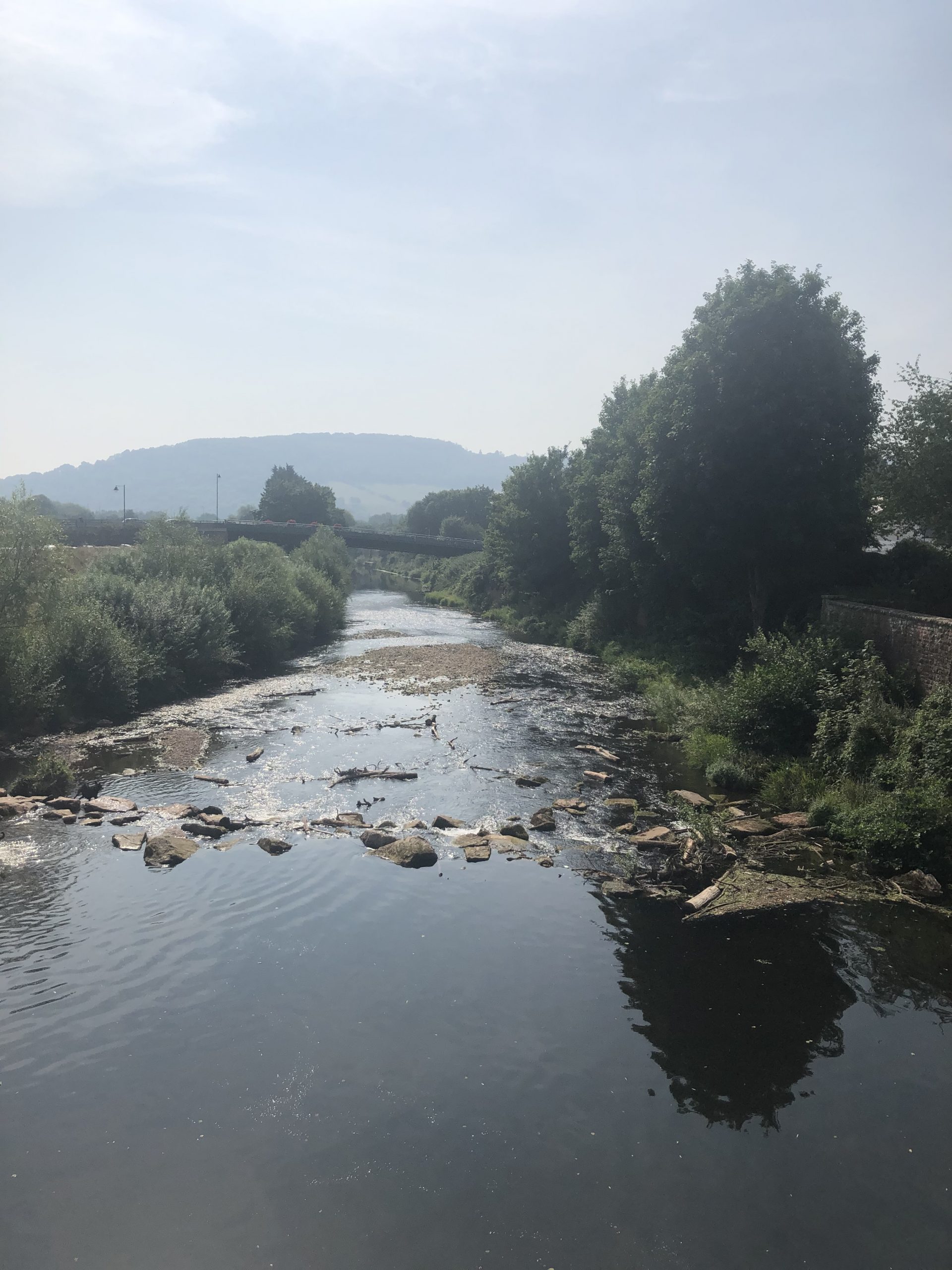 alt="river with trees either side"