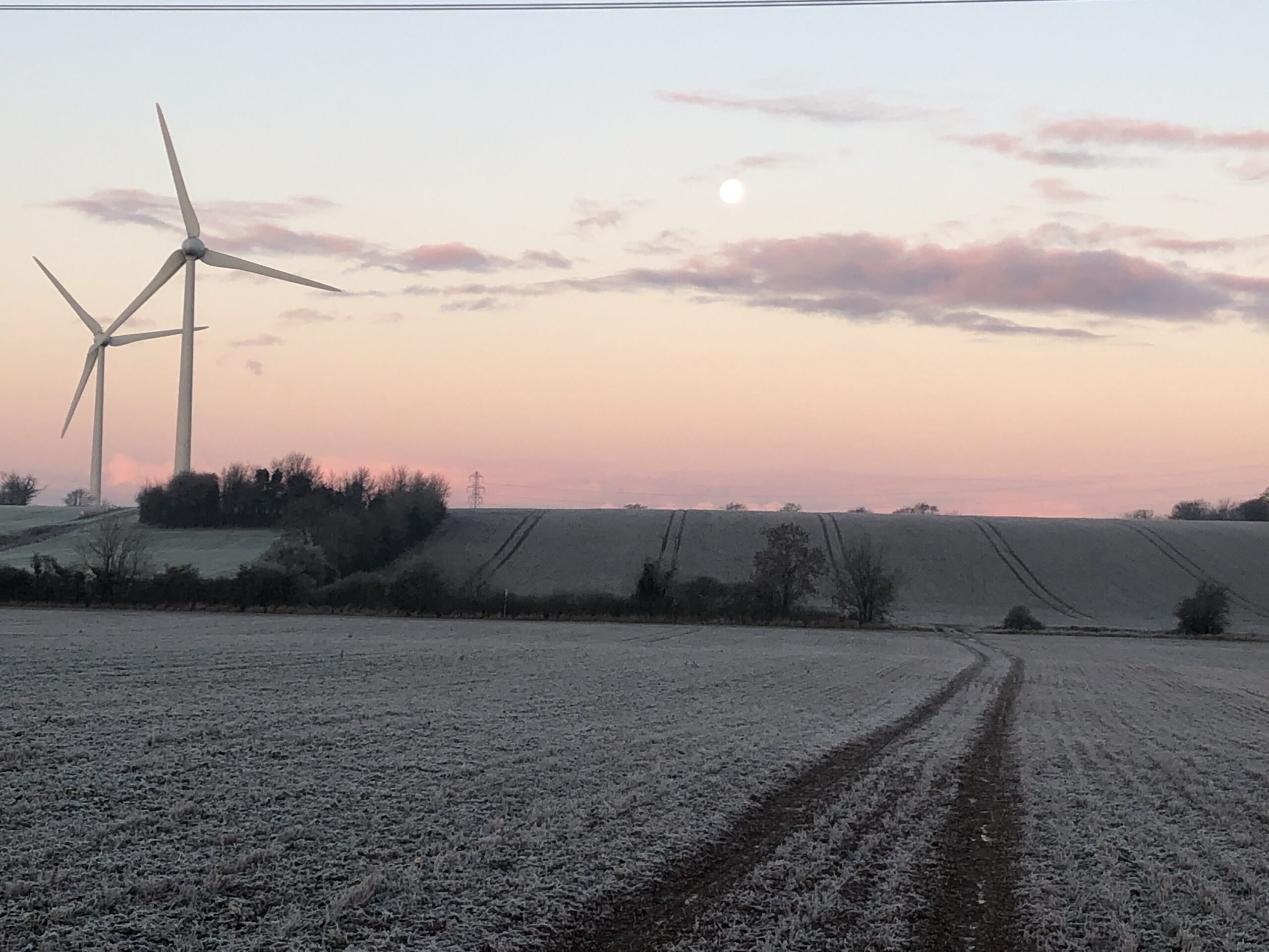 alt="frost covered field with wind turbine"