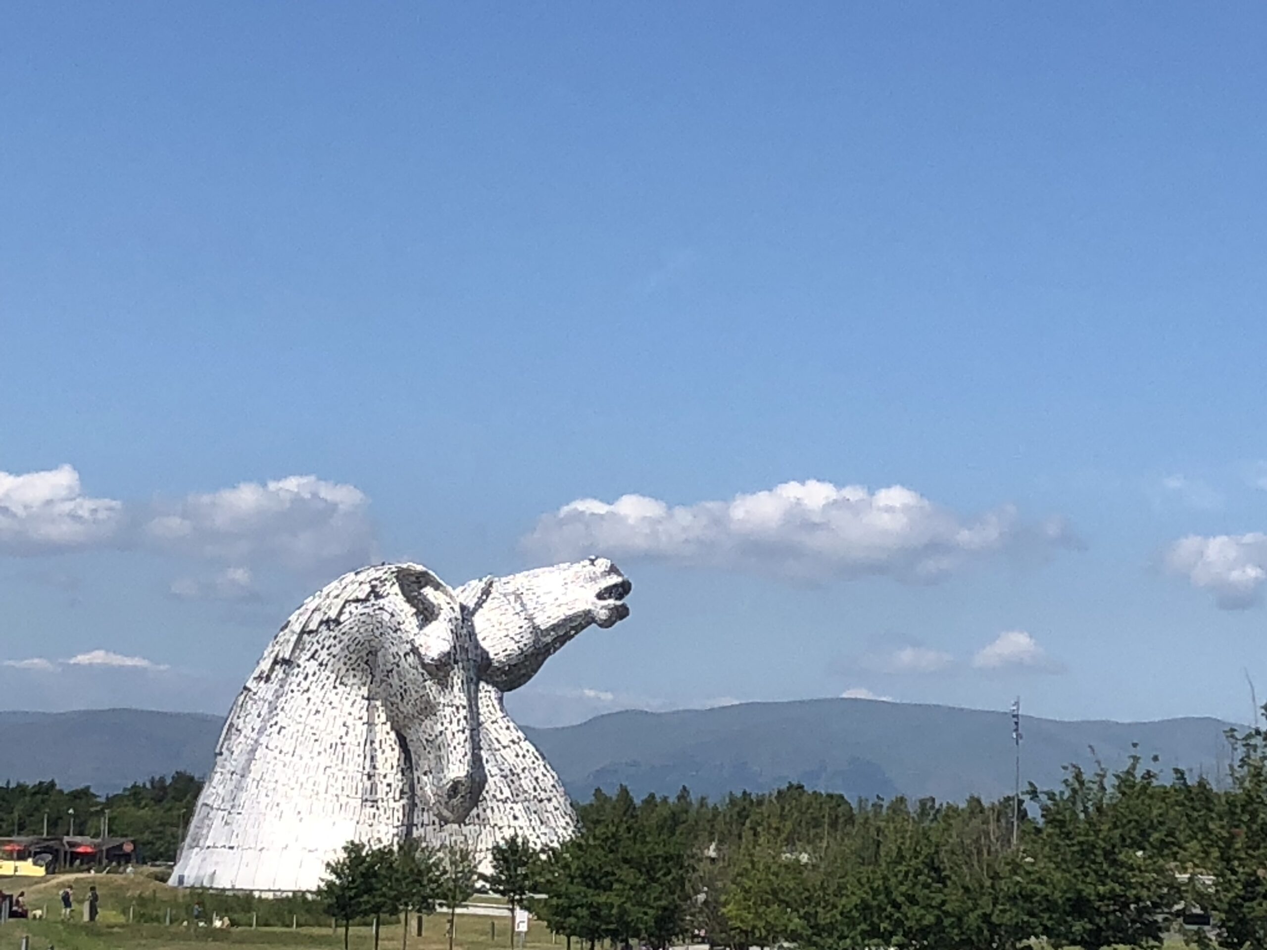 alt="two horses heads in distance"