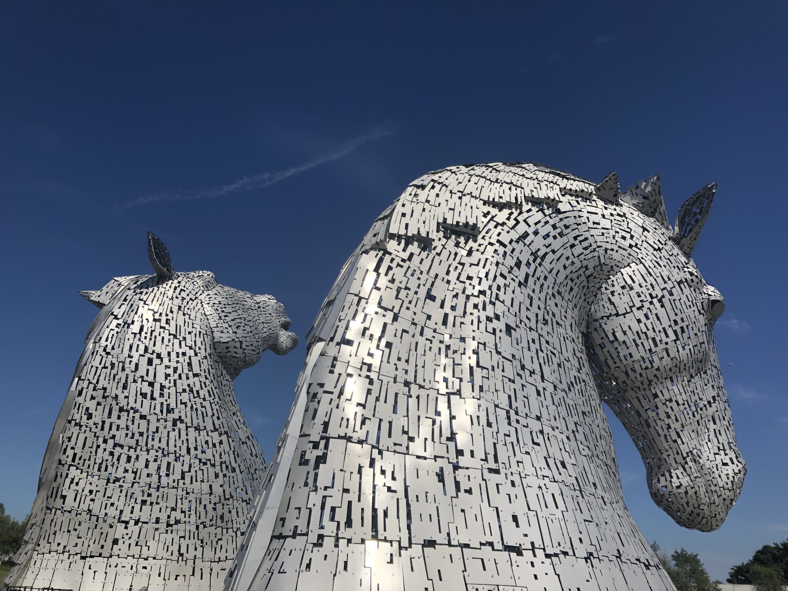 alt="two horses heads"