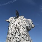 alt="horses head looking skyward"