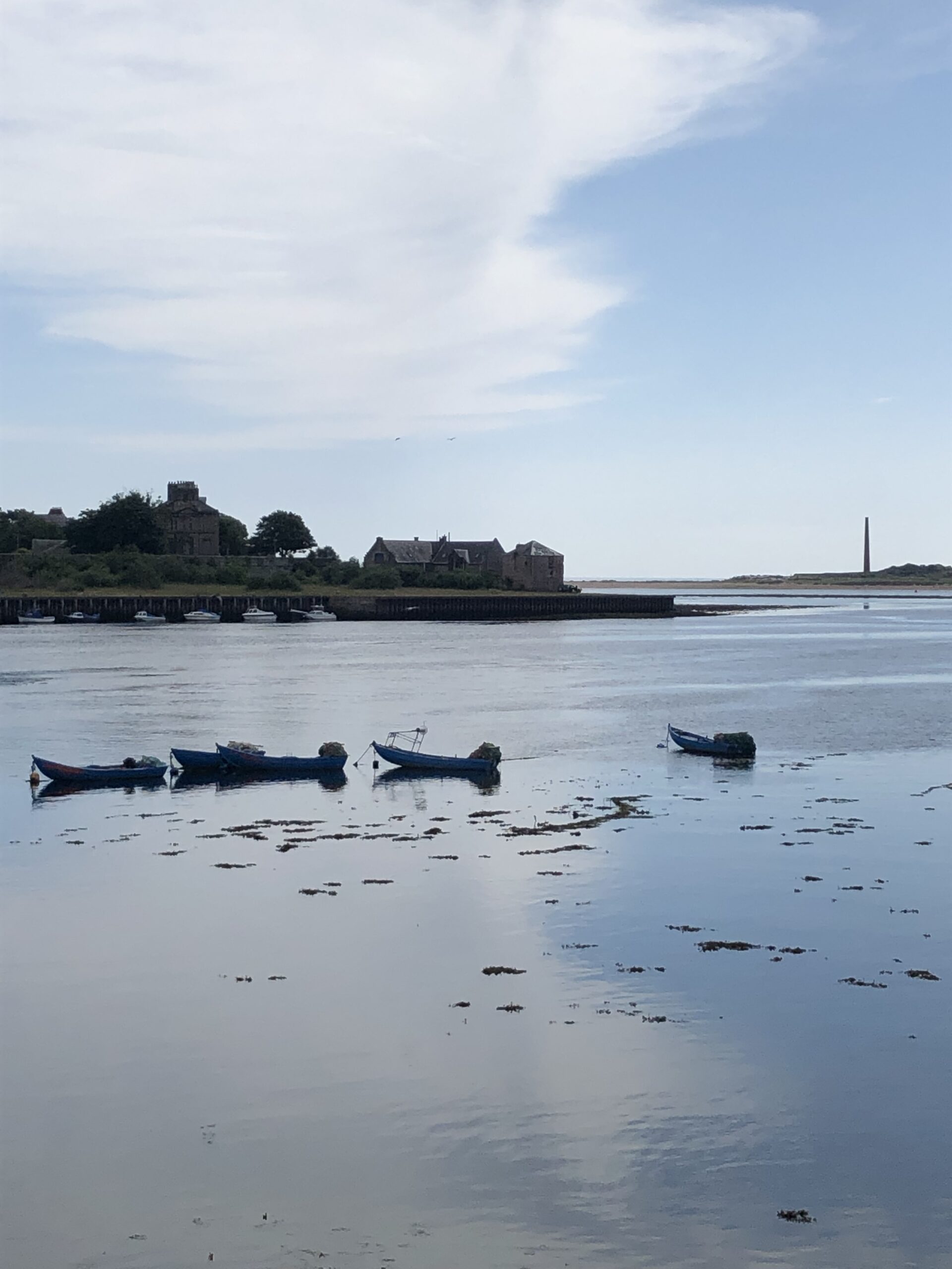alt="mud flats with buildings in distance"