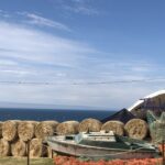 alt="old boat with hay bales behind it"