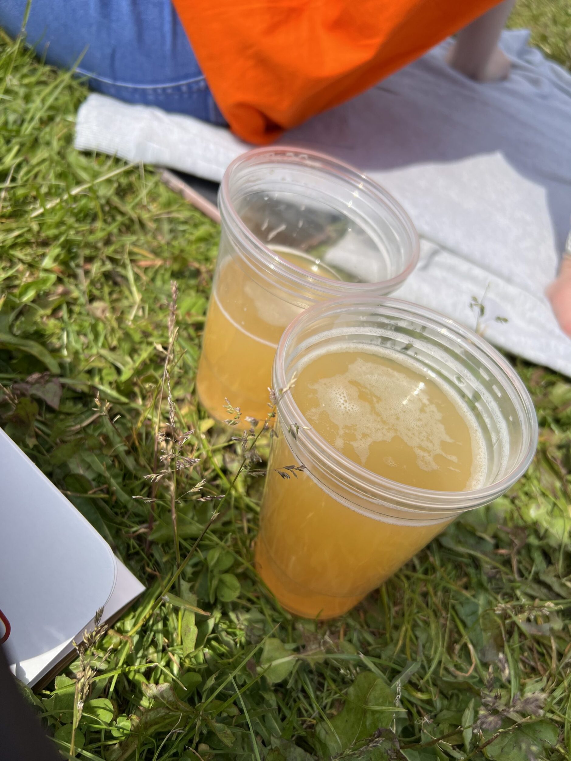 alt="beer in plastic glasses on the grass"