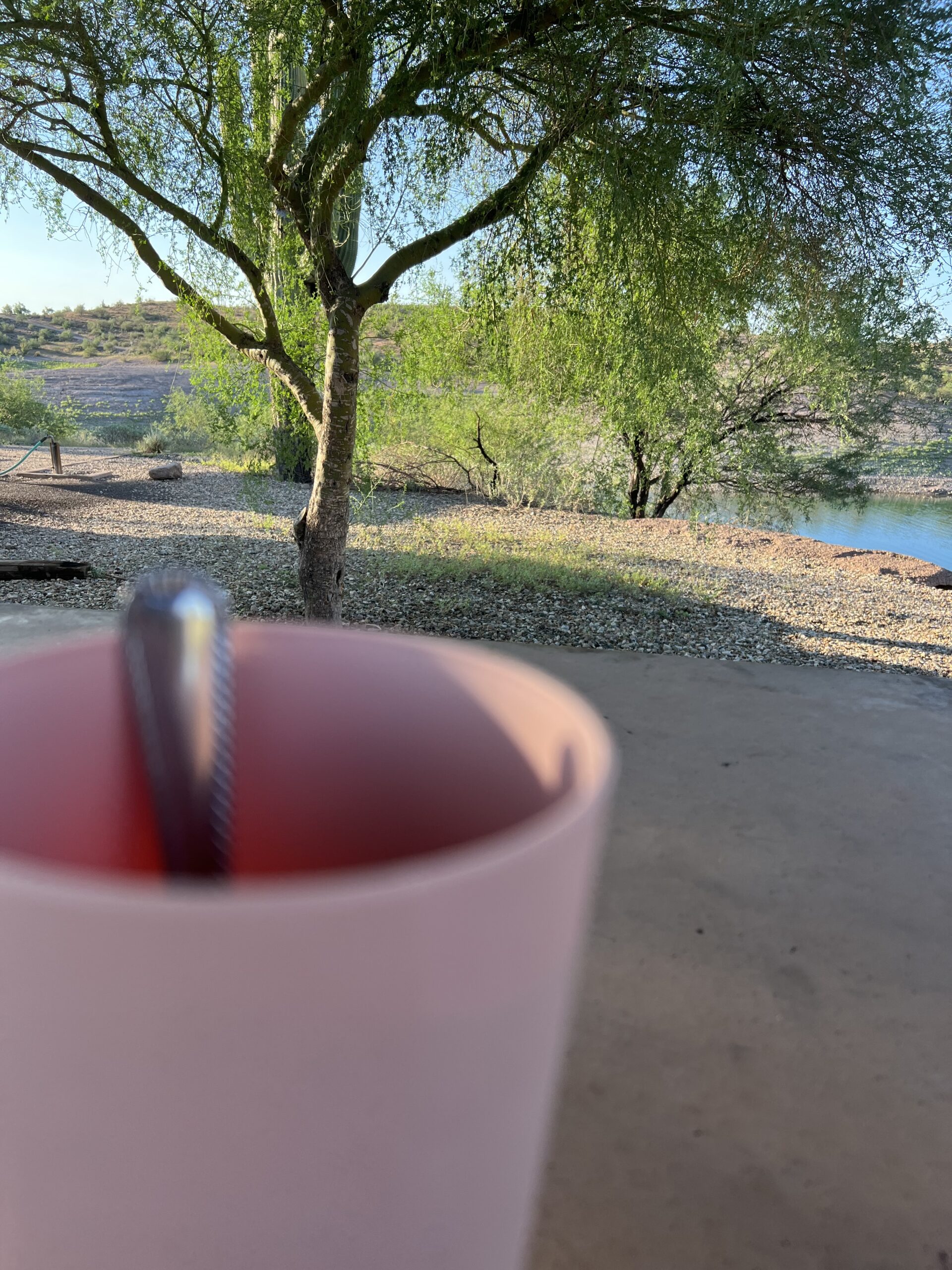 alt="coffee in mug by lake"