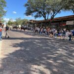 alt="longhorn cattle in the street"