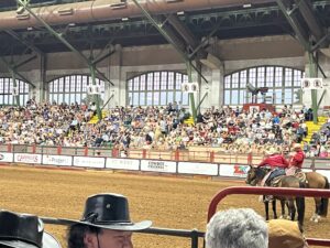 alt="inside the stockyard at the start of the rodeo"