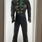 alt="stage costume with stars & green collar"