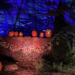 alt="row of pumpkins with faces"