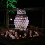 alt="owl pumpkins staue lit up at might"