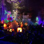 alt="assorted pumpkins with faces lit up"