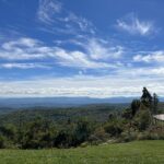 alt="grass with trees & mountains & clouds in distance"