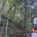 alt="back of camper van in forest"