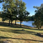 alt="sloping grass bank to lake with trees"