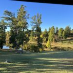 alt="grass with trees & lake"