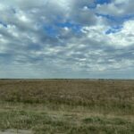 alt="scrubland with cloudy sky"