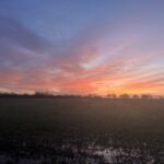 alt="sunrise ove the trees"
