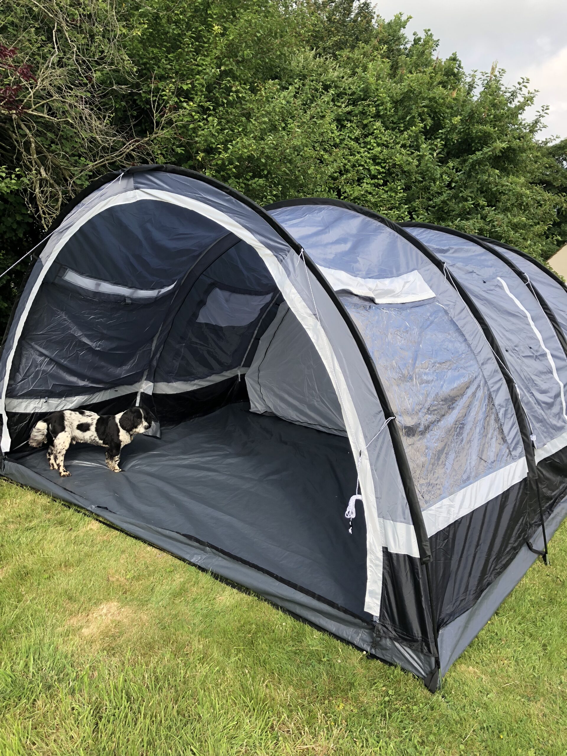 alt="tunnel like tent with dog in porch"