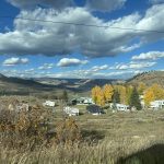 alt="scrubland with trees & clouds"