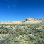 alt="low shrubs & rock outcrop in distance"