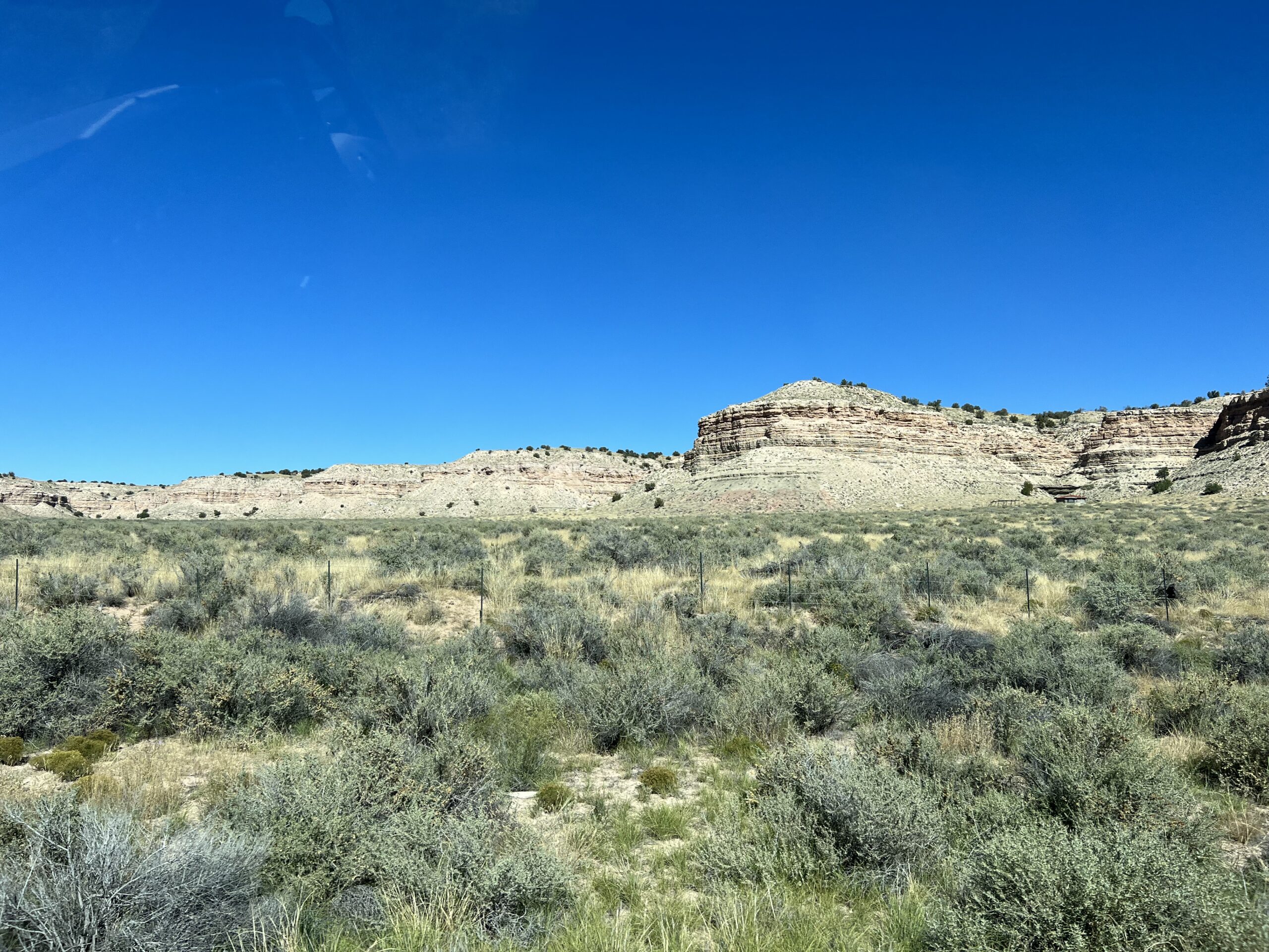 alt="low shrubs & rock outcrop in distance"