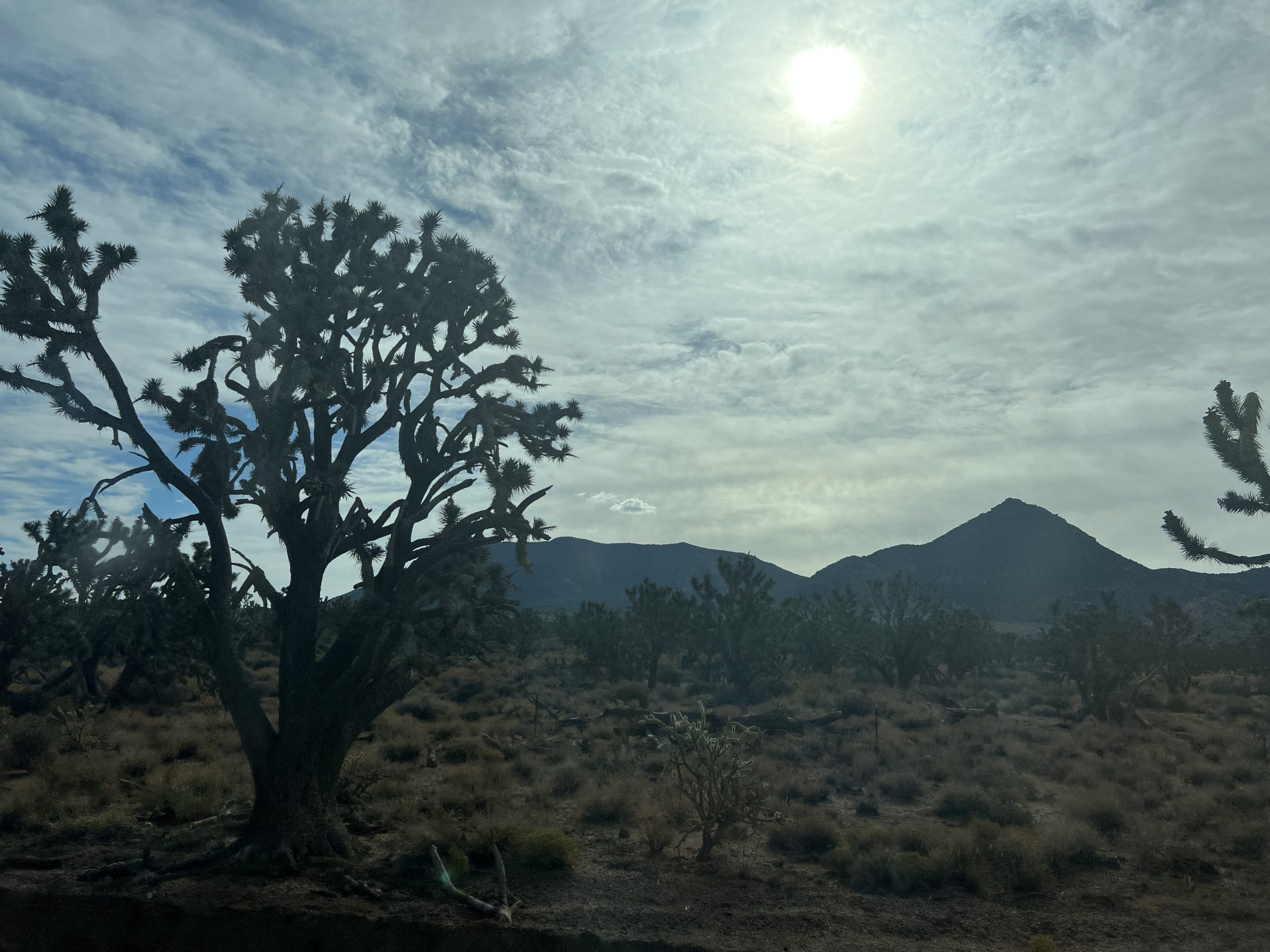 alt="scrub land with cloudy sky & mountains in distance