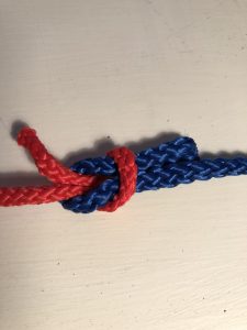 alt=" a knot made of coloured cord"