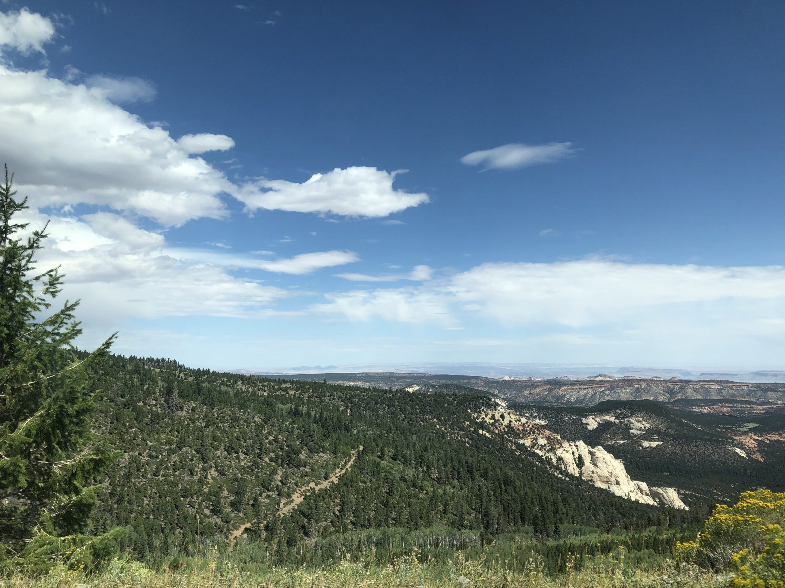 alt="sky & clouds with trees & rocks"