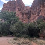 alt="striated rocks at Williams Bottom campsite"