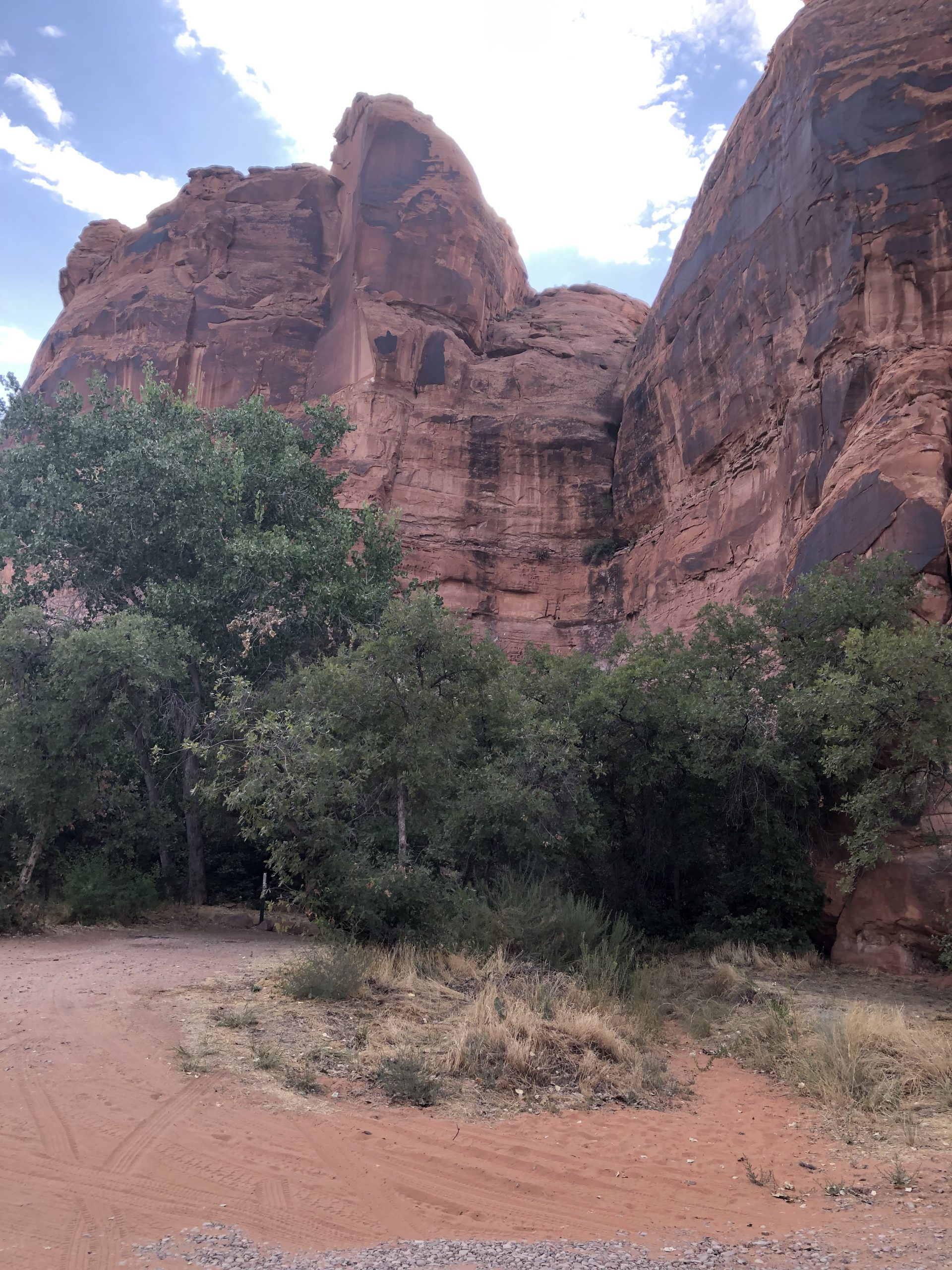 alt="striated rocks at Williams Bottom campsite"
