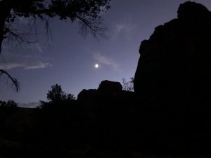 alt="night time at Williams Bottom"