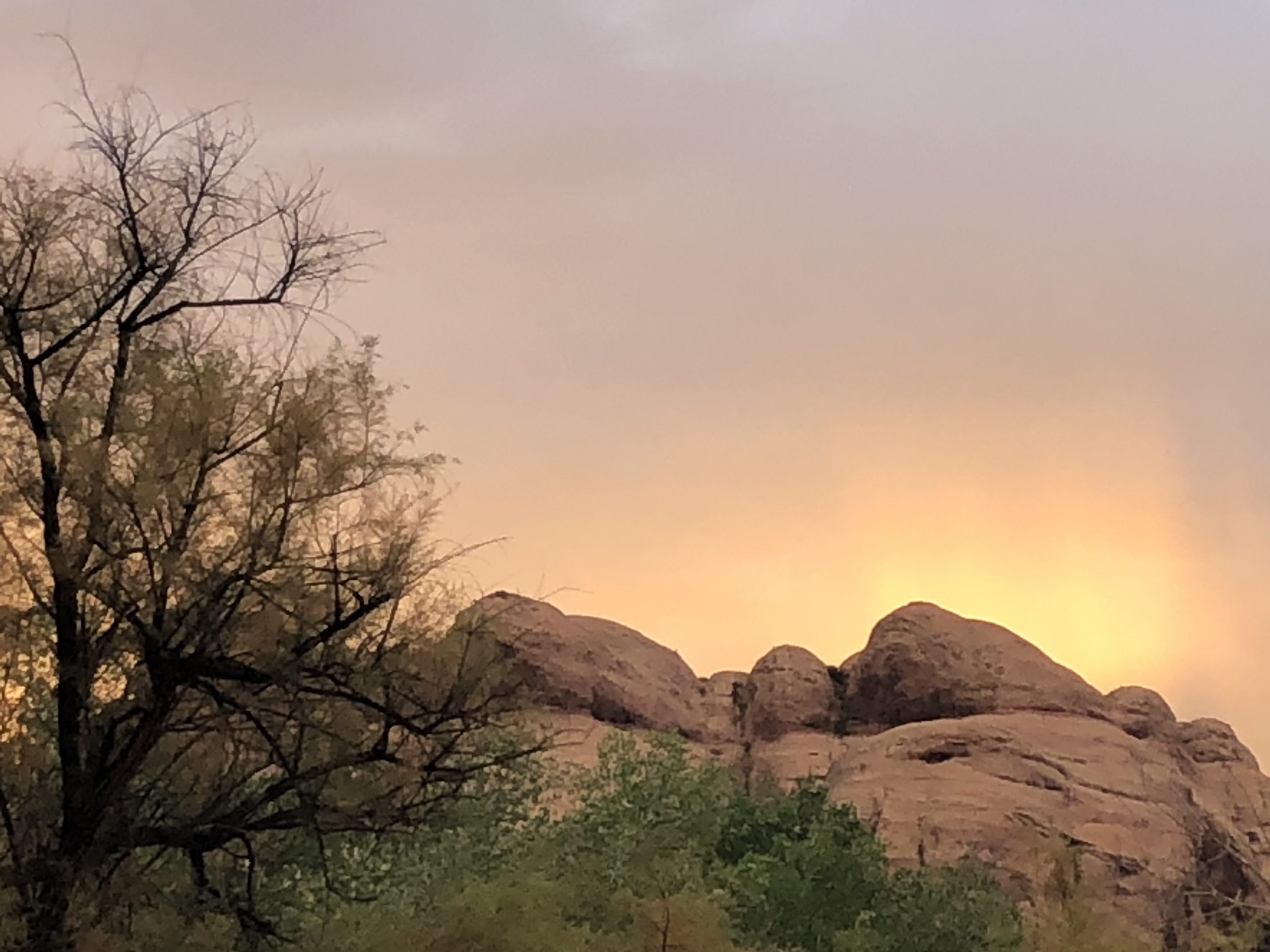 alt="sunset at Williams Bottom"