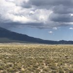 alt="scrub land in foreground with tree covered hill"