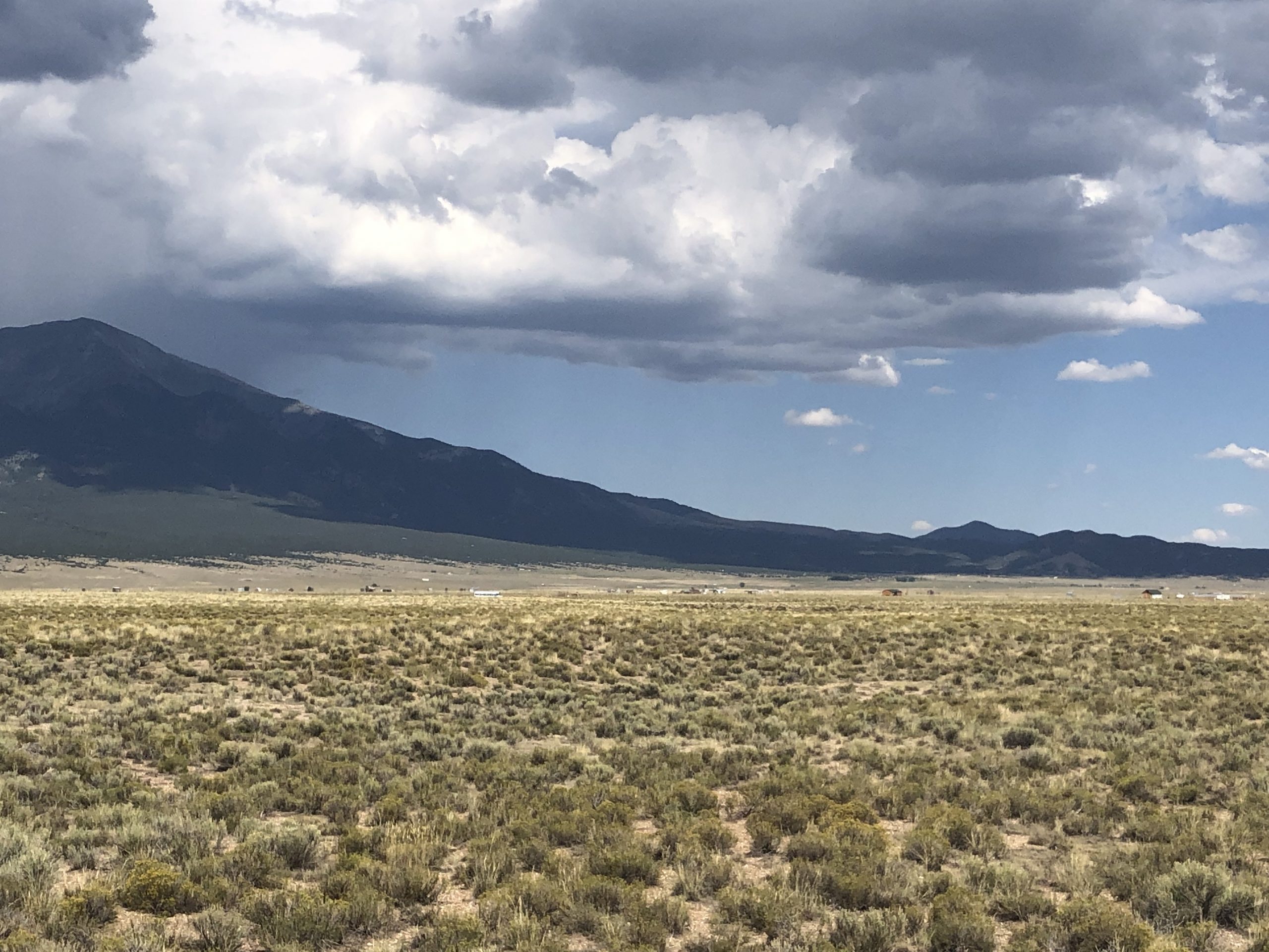 alt="scrub land in foreground with tree covered hill"