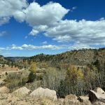 alt="rocks 7 trees along side of road"