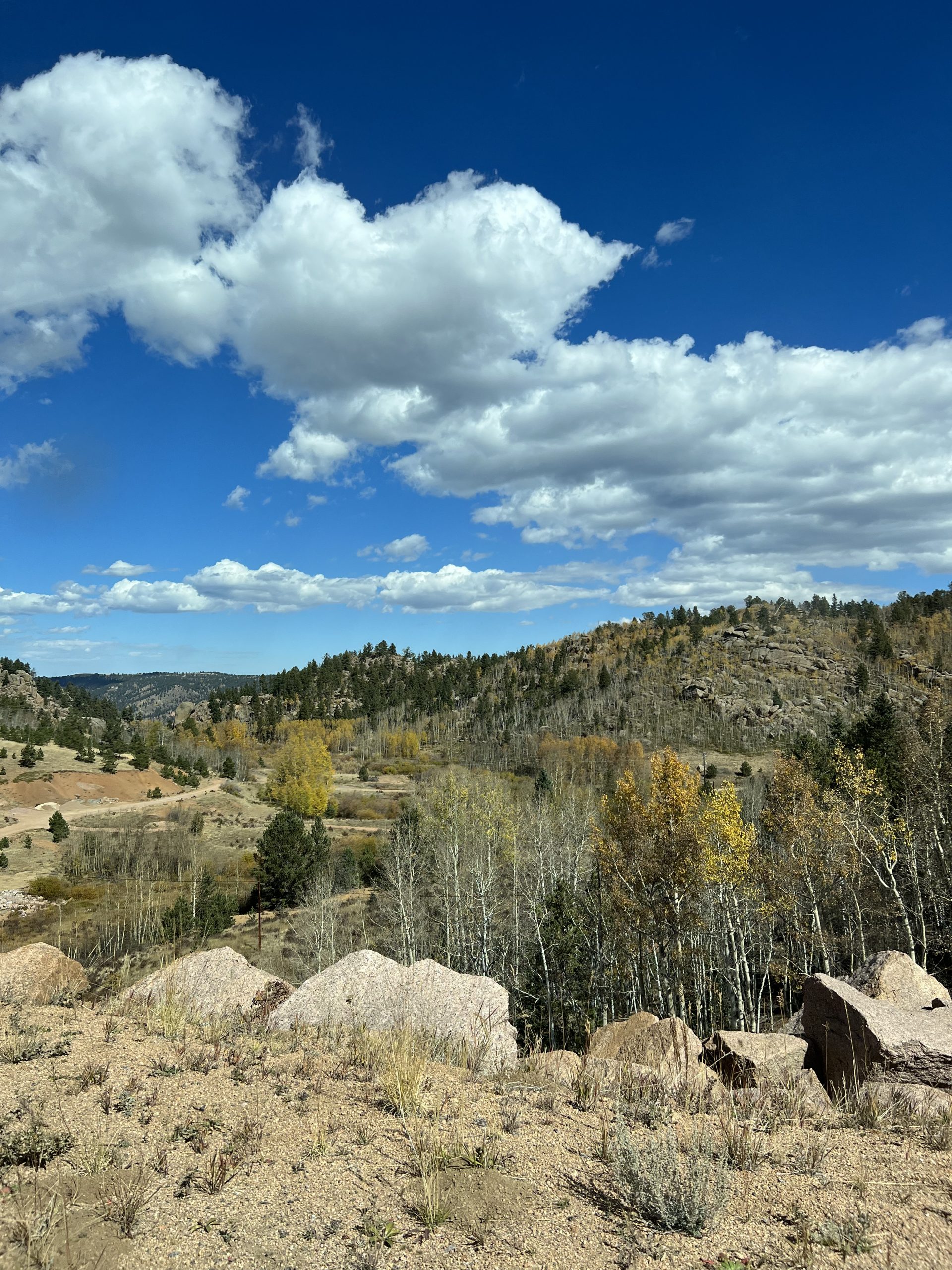 alt="rocks 7 trees along side of road"