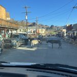 alt="main street Oatman with donkeys wandering around"