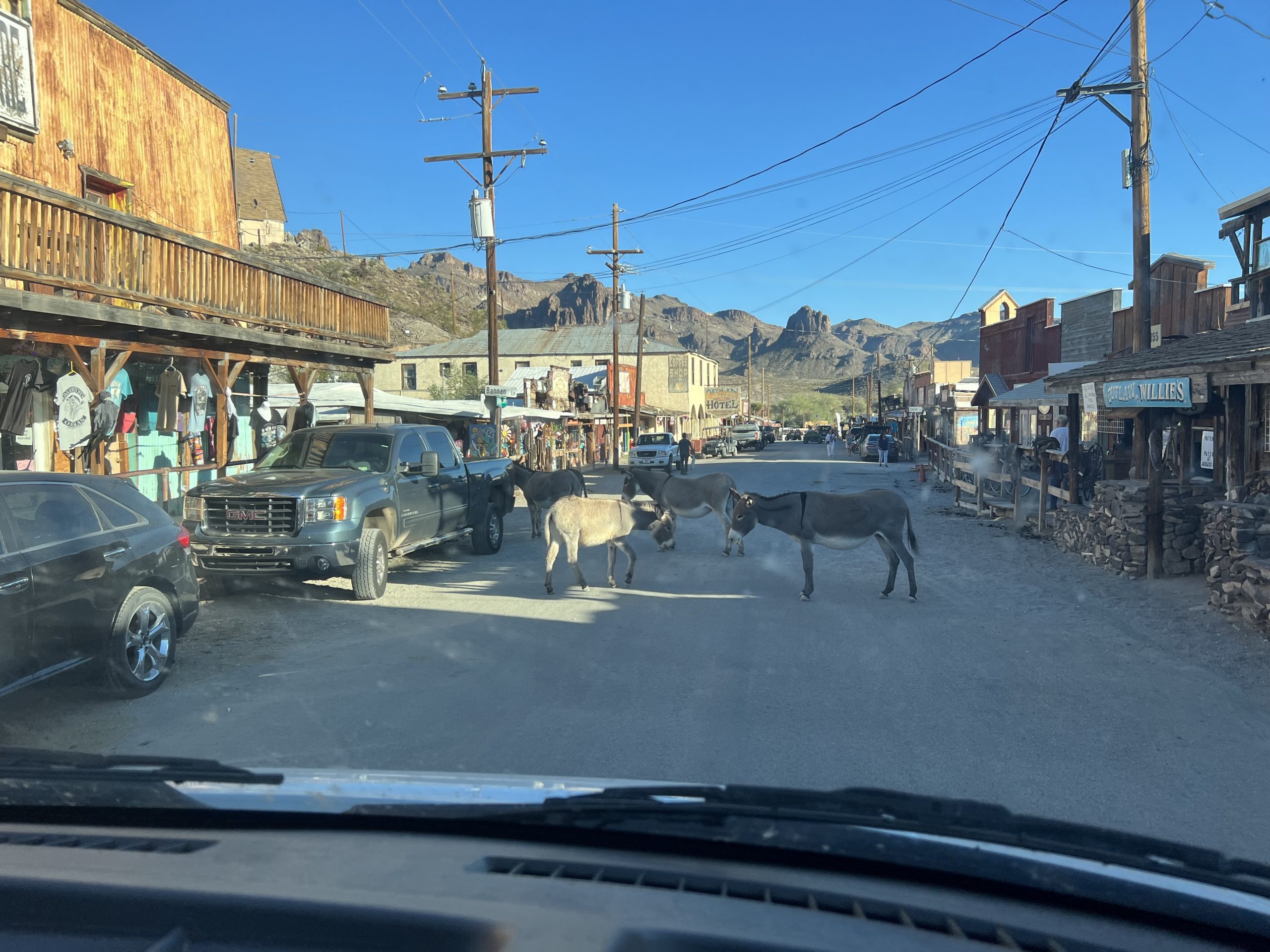 alt="main street Oatman with donkeys wandering around"