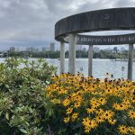 alt="flowers & shrubs near a concrete structure"