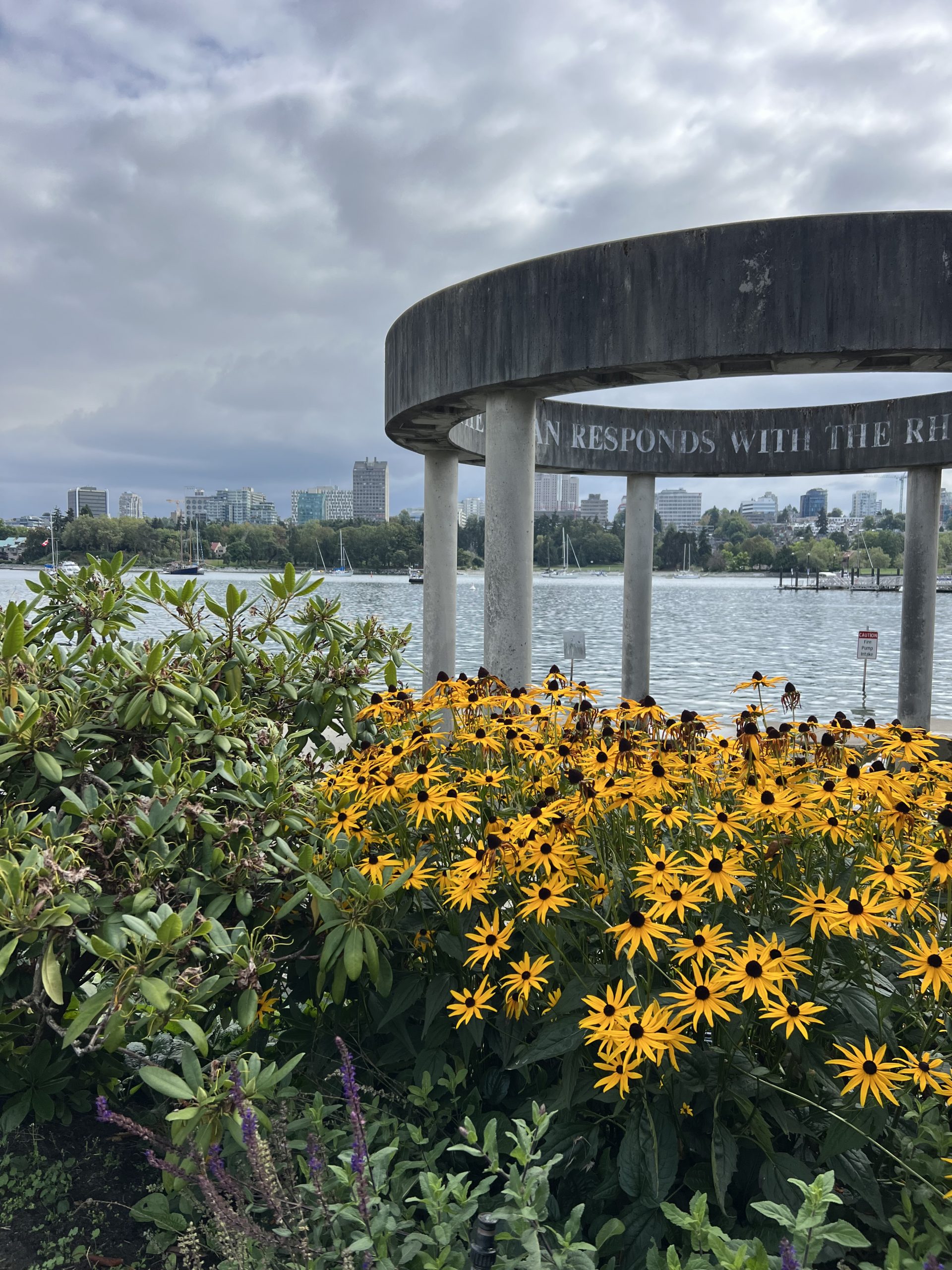 alt="flowers & shrubs near a concrete structure"