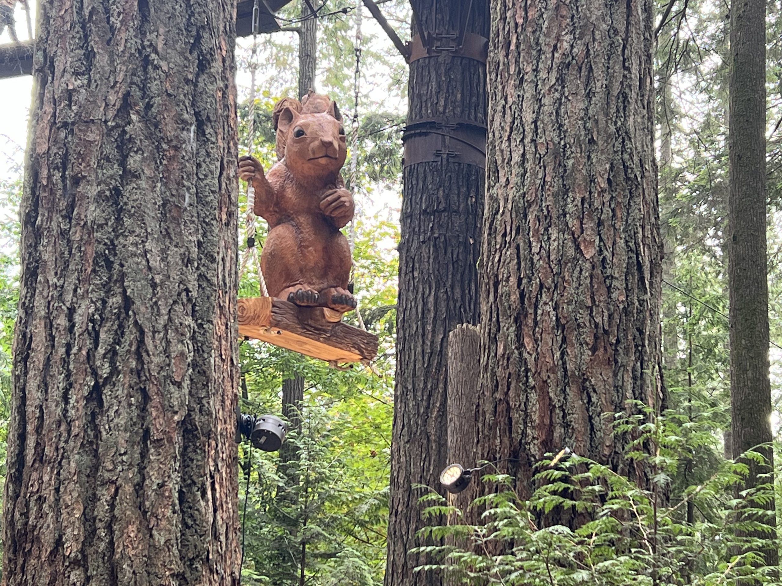 alt="large squirrel carving between trees"
