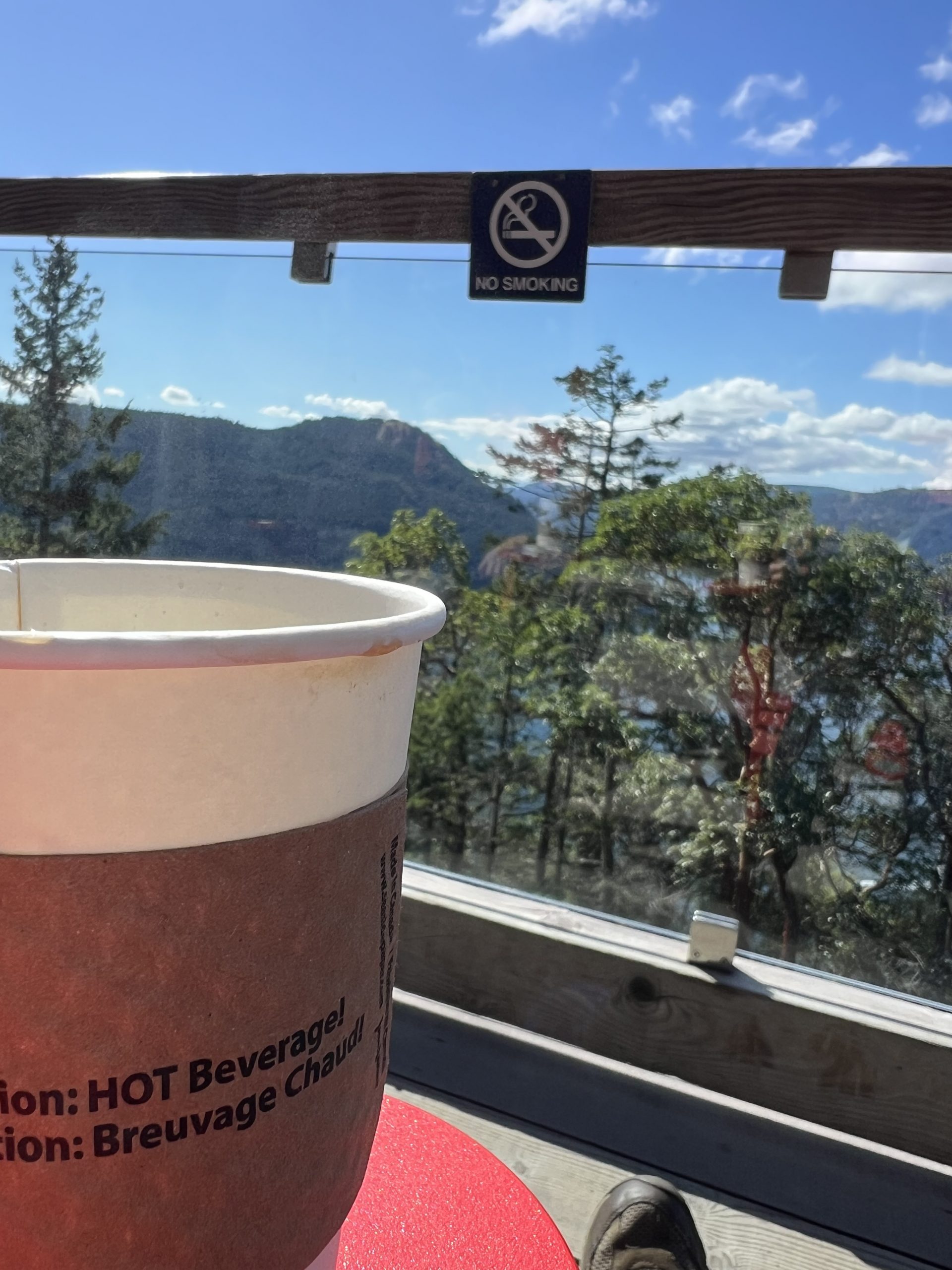 alt="paper cup of coffee with trees in distance"