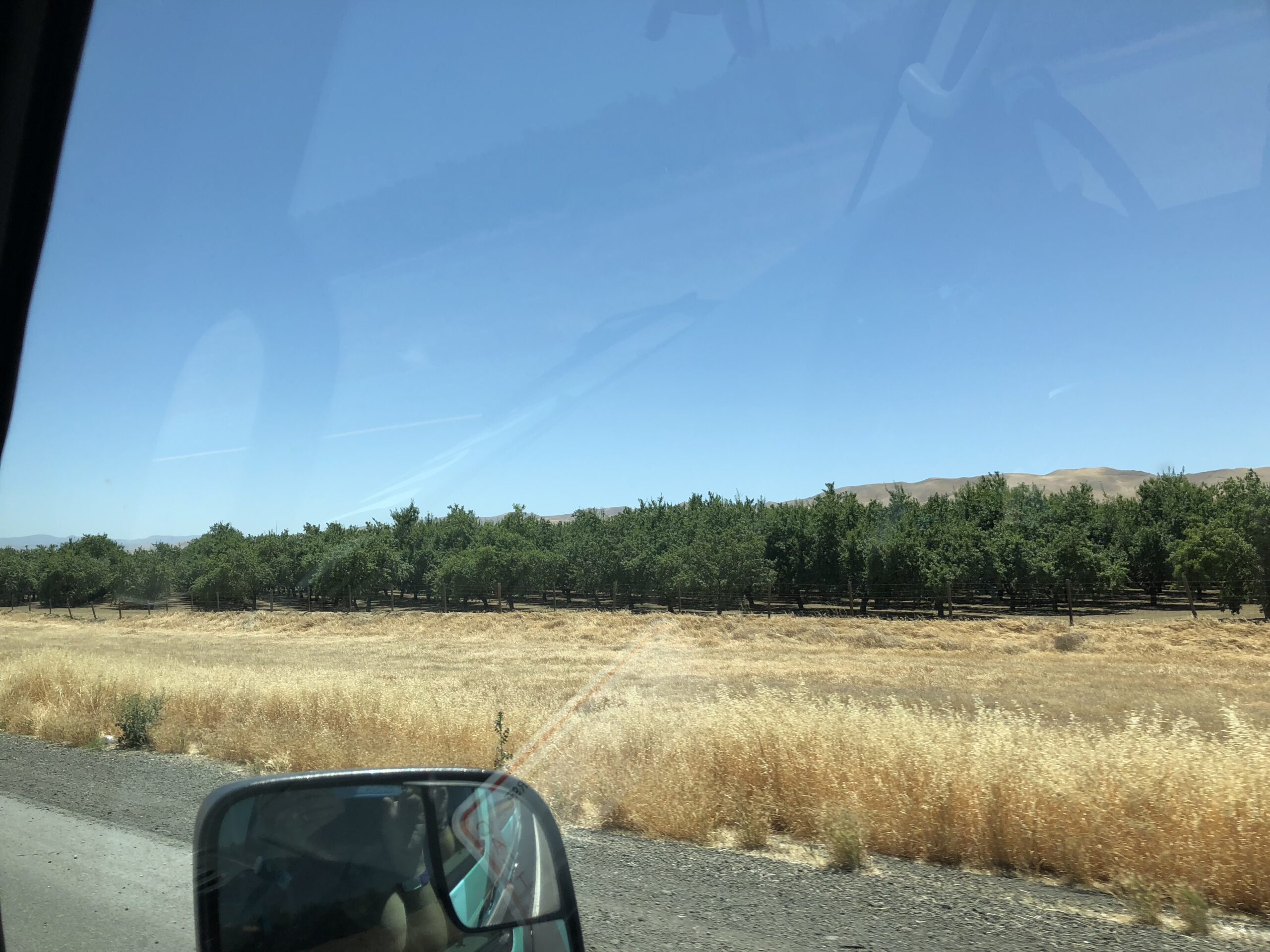 alt"dry grass & trees along the road"