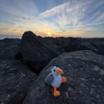 alt="soft toy seagull sitting on a rock at sunset"